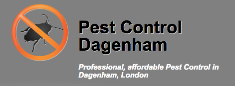 Dagenham Pest Control